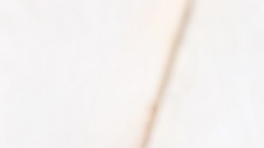 Shutterstock