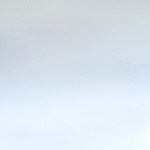 plato de omelette con espinacas