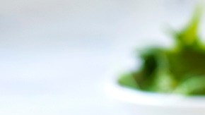 plato de omelette con espinacas