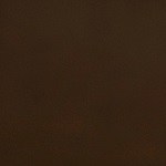 Samosas indias de carne