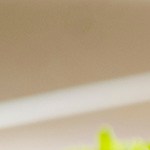 sandwich de salmón cocido