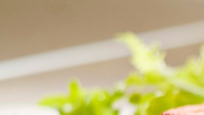 sandwich de salmón cocido