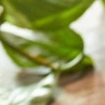 Arrachera con cerveza y azúcar morena