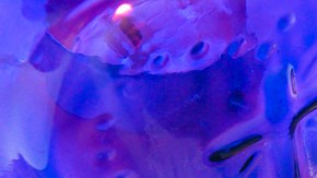 Atole de chocolate con especias