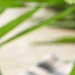 Bistec en salsa roja con papas