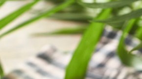 Bistec en salsa roja con papas