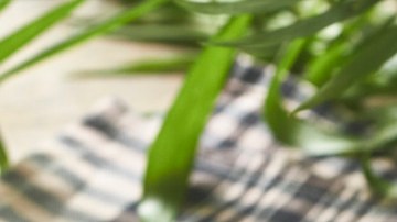 Bistec en salsa roja con papas