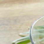 Bolitas de churro con cajeta