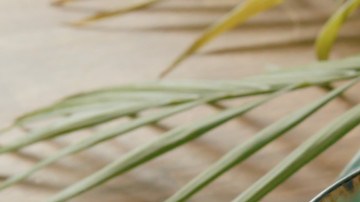 Calabacita con queso a la mexicana