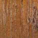 Crema de guisantes suave y deliciosa