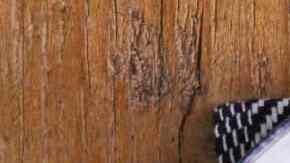 Crema de guisantes suave y deliciosa