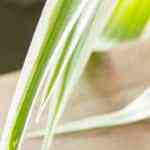 Cuscús con higo y naranja