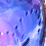 Photo © 2019 The Grosby Group

Dulce de frutas de temporada