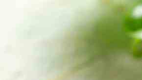 Ensalada de fresas y aguacate. Paso a paso