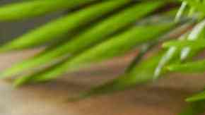 Ensalada de lentejas con lemongrass