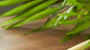 Ensalada de lentejas con lemongrass