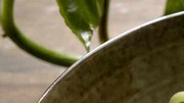 Espaguetis con crema de chile jalapeño