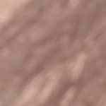 Galleta de la fortuna