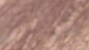 Galleta de la fortuna