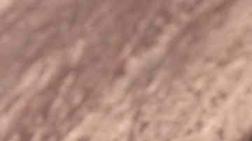 Galleta de la fortuna