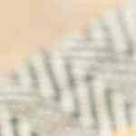 Mousse de atún con chipotle