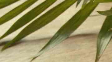 Nueces garrapiñadas