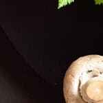 filetes de pavo en salsa de champiñones