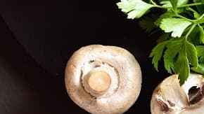 filetes de pavo en salsa de champiñones