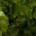 Pechugas envueltas con bacon