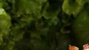 Pechugas envueltas con bacon