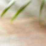 Quesadillas de fresas