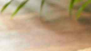 Quesadillas de fresas