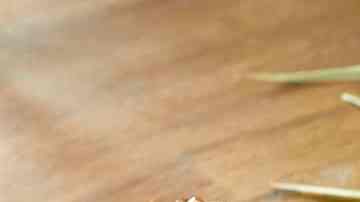 Sándwich caliente de mermelada de higos