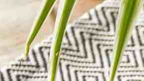 Tacos de papa con chorizo