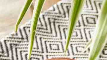 Tacos de papa con chorizo