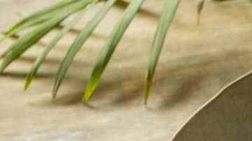 Tacos de picadillos de lenteja