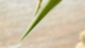 Photo © 2019 The Grosby Group

Chocolate caliente vegano