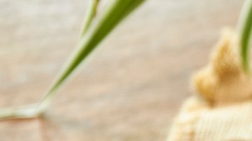 Photo © 2019 The Grosby Group

Chocolate caliente vegano