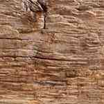 cazuela con curry vegano de garbanzos