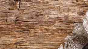 cazuela con curry vegano de garbanzos