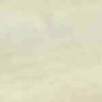 espaguettis en salsa de pimiento morrón