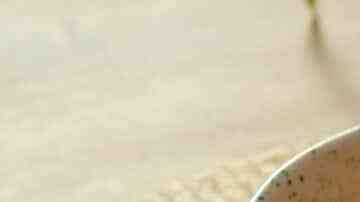 espaguettis en salsa de pimiento morrón