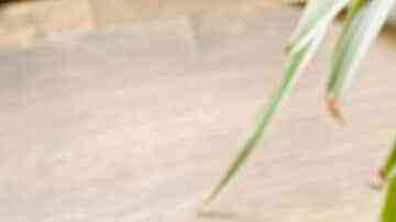 Licuado de fresas, plátano y avena