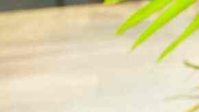 panqué de manzana y nuez