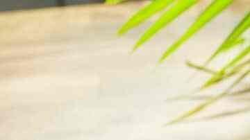 panqué de manzana y nuez