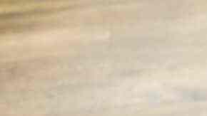 pierna de cerdo en salsa de piña y chipotle