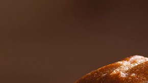 sandwich roast beef con queso derretido