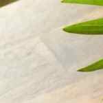 sopa de manzana y remolacha