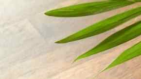 sopa de manzana y remolacha