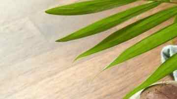 sopa de manzana y remolacha